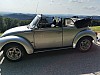 IMG-20210822-WA0024.jpg