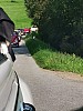 IMG-20210822-WA0028.jpg