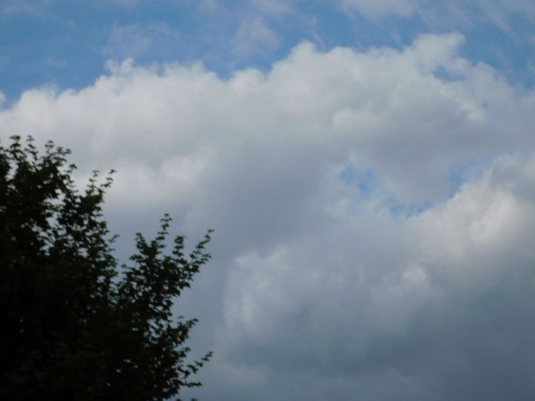 DSCN1419