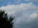 DSCN1419