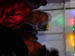 DSCN1792