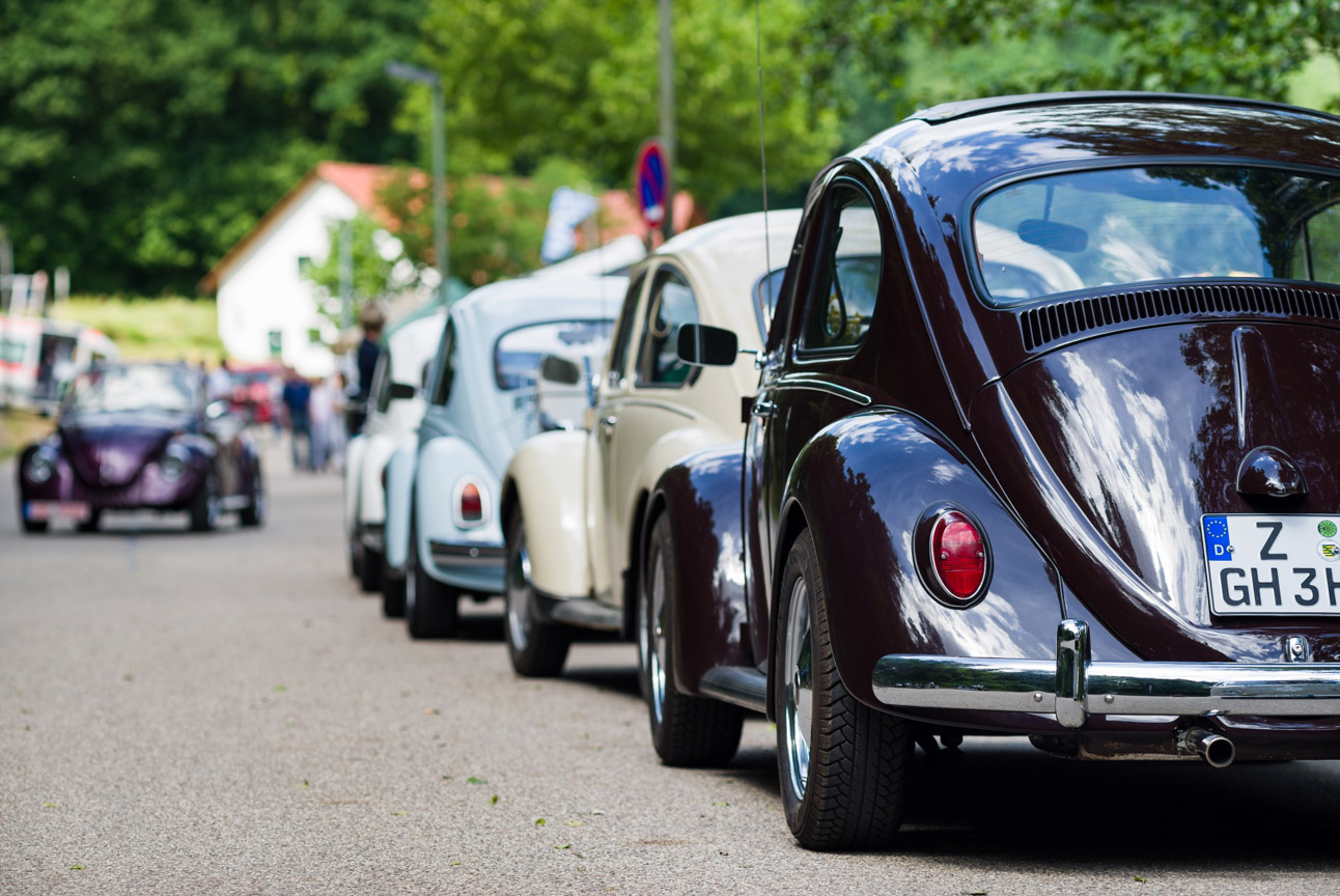 Kaefer_Bayerwald_0007
