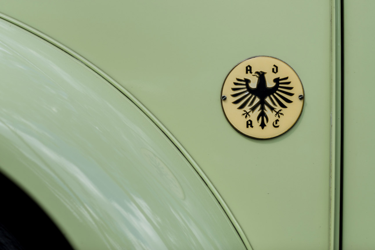 Kaefer_Bayerwald_0008
