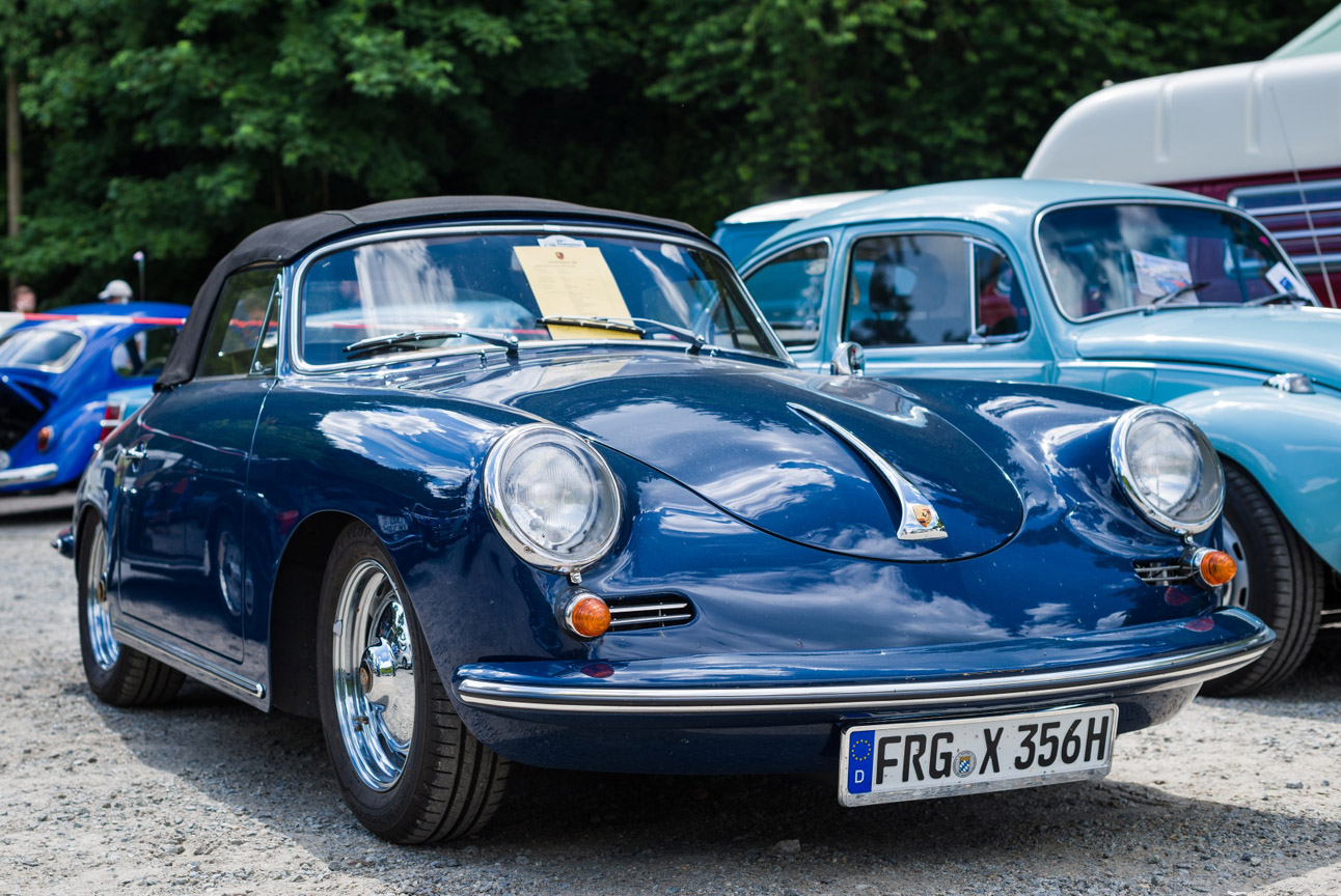 Kaefer_Bayerwald_0012