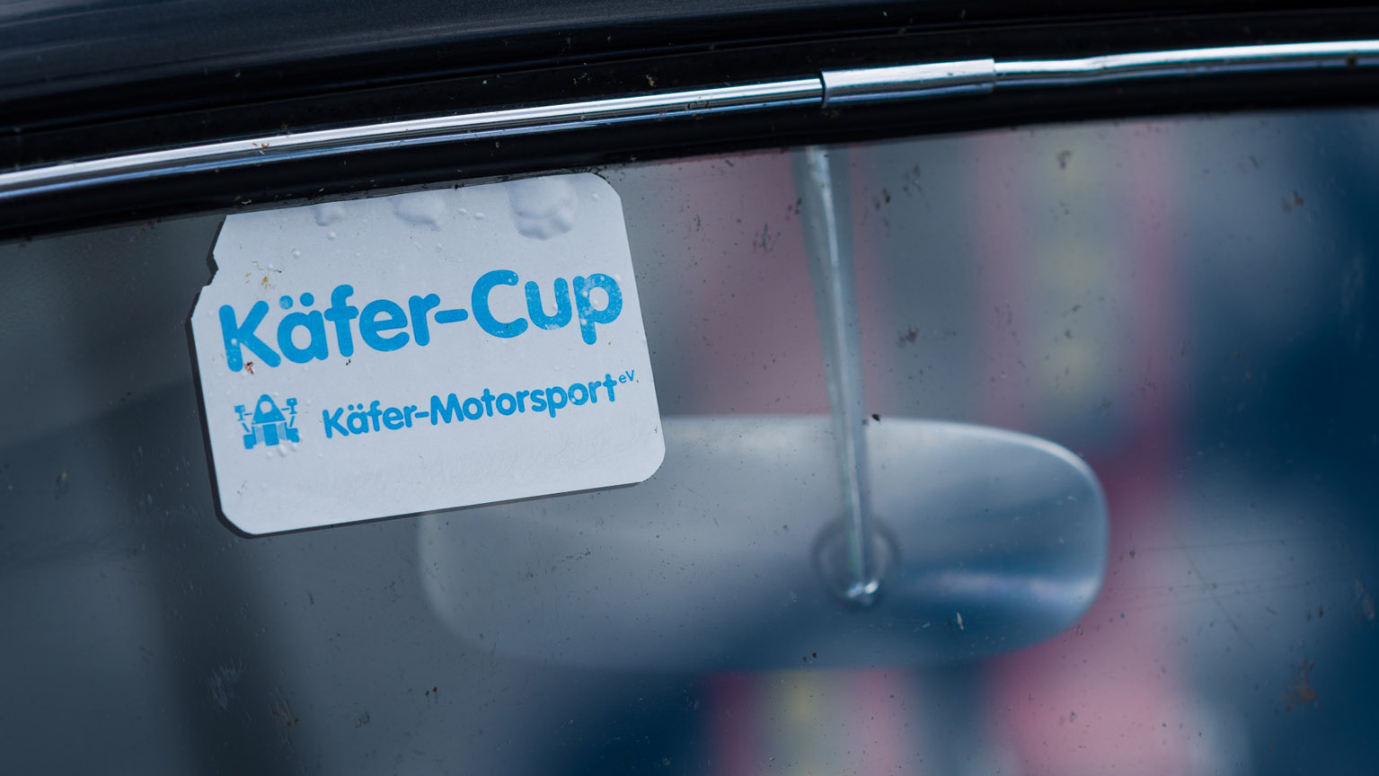 Kaefer_Bayerwald_0027