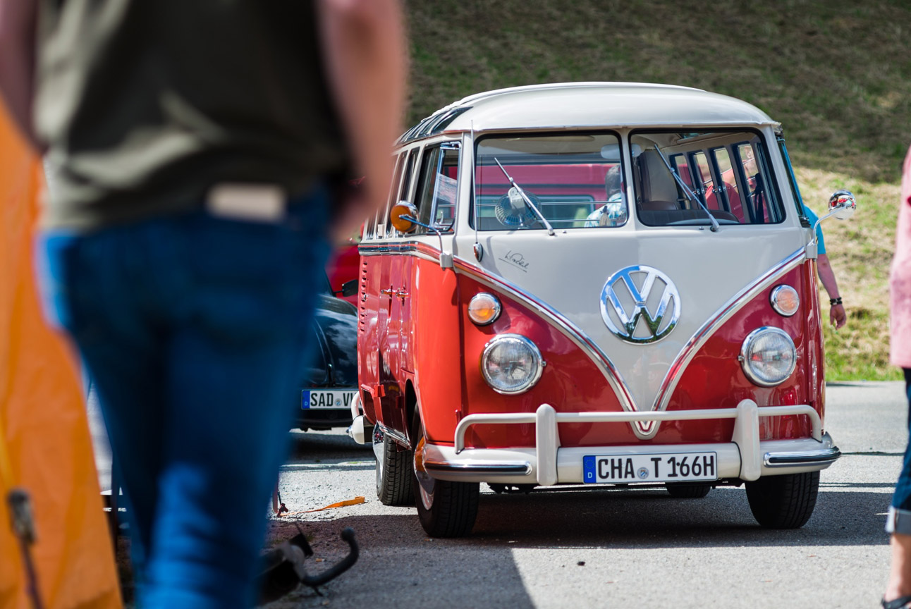 Kaefer_Bayerwald_0030