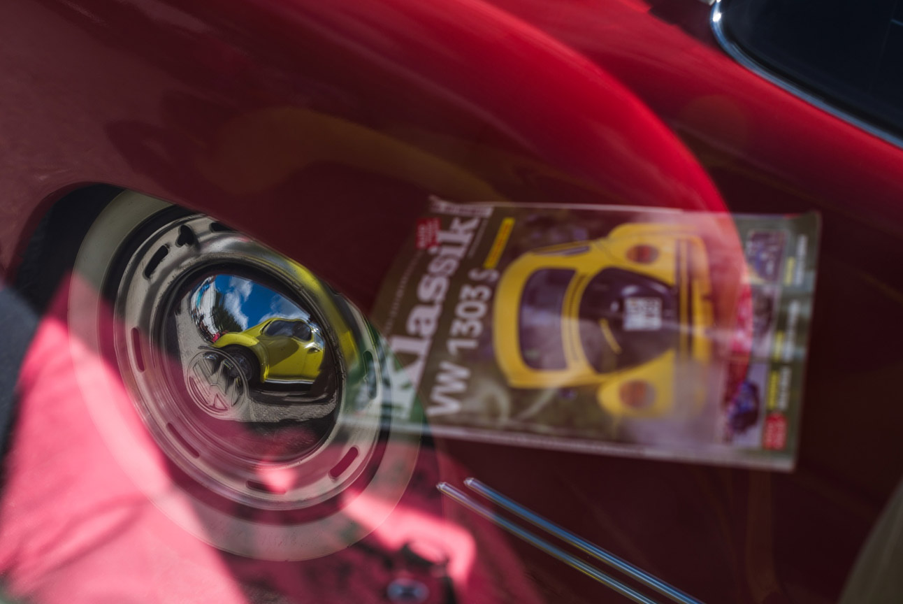 Kaefer_Bayerwald_0035