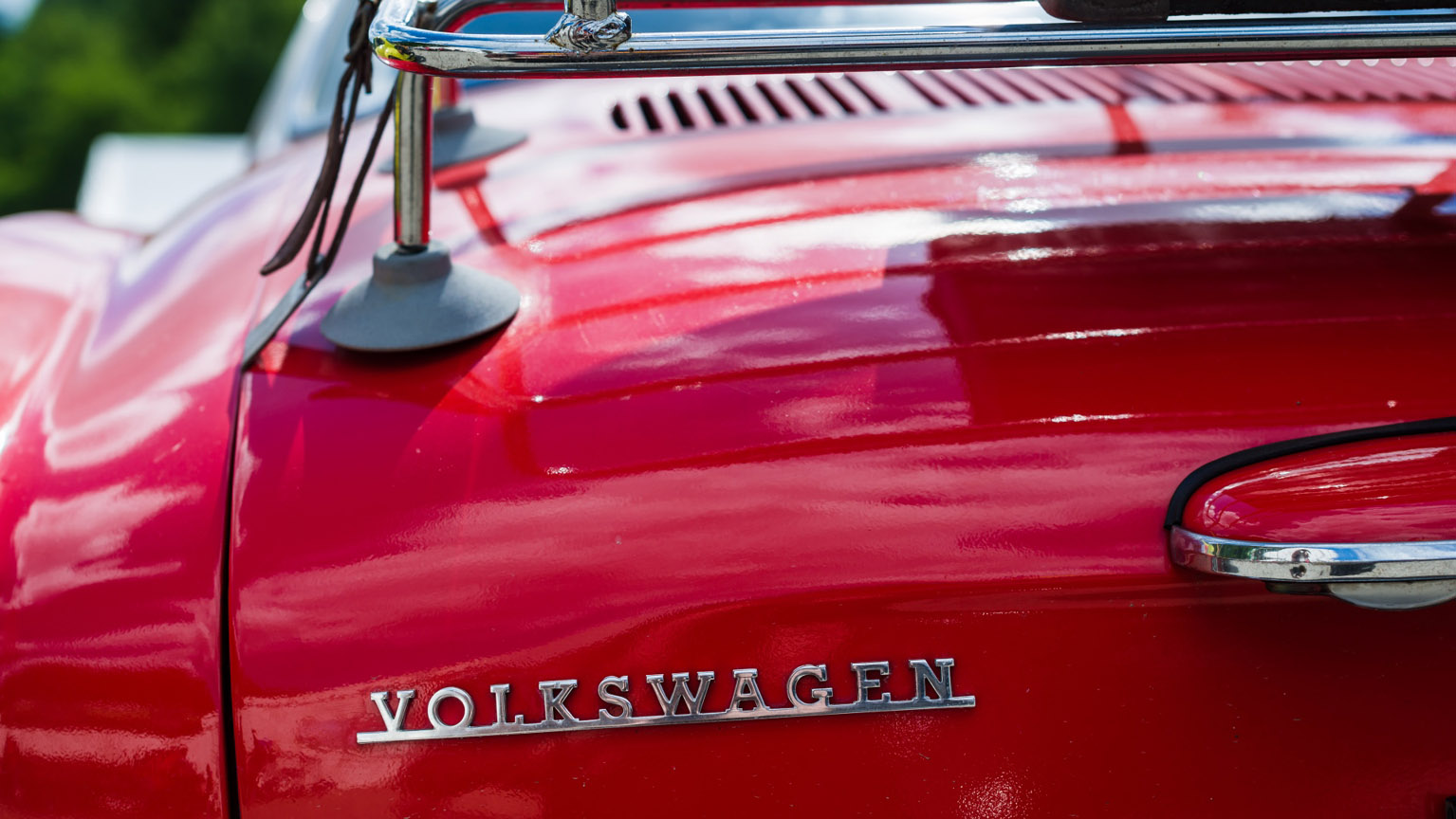 Kaefer_Bayerwald_0036