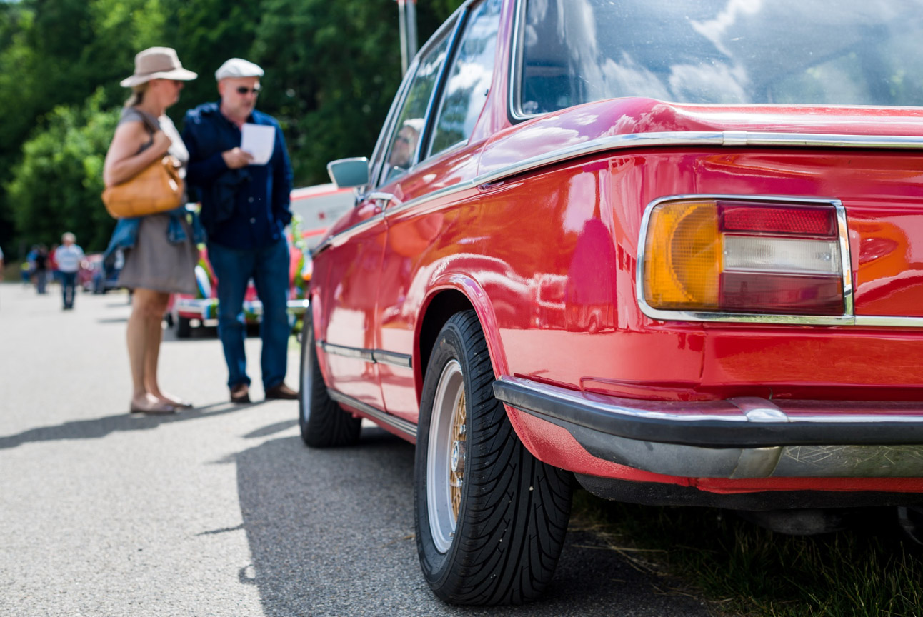 Kaefer_Bayerwald_0044
