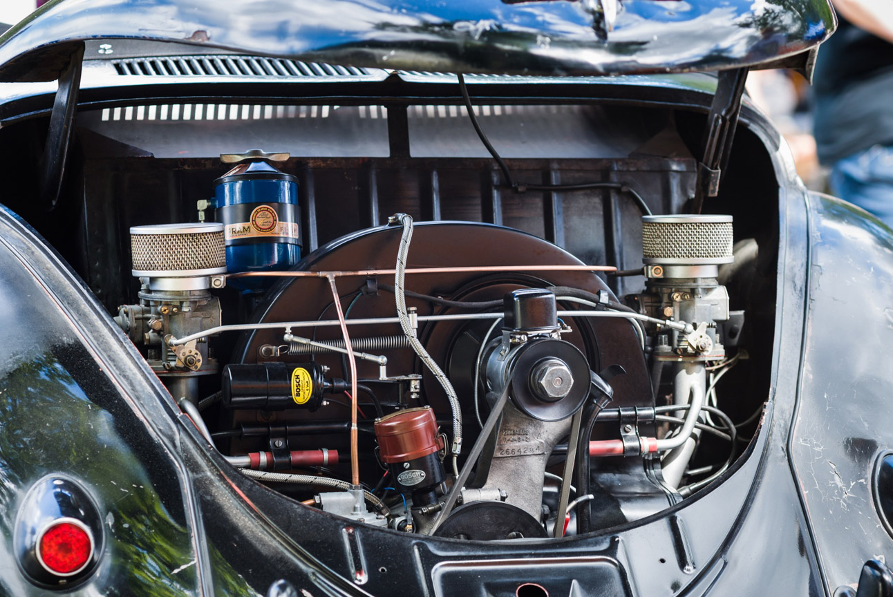Kaefer_Bayerwald_0058