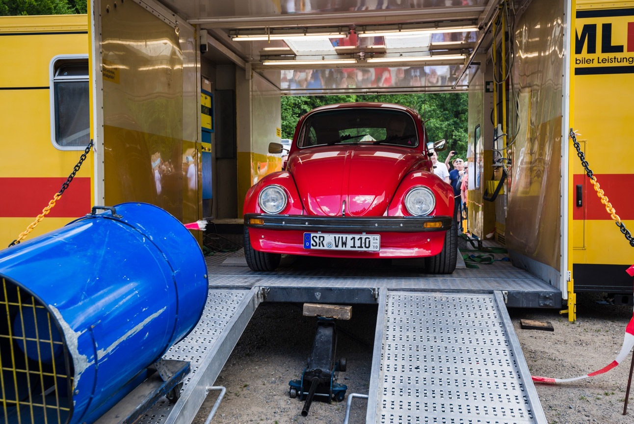 Kaefer_Bayerwald_0068