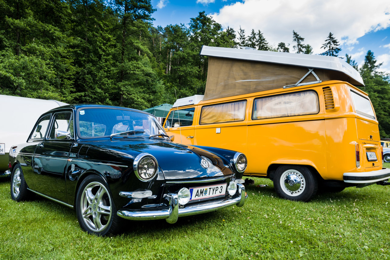 Kaefer_Bayerwald_0085