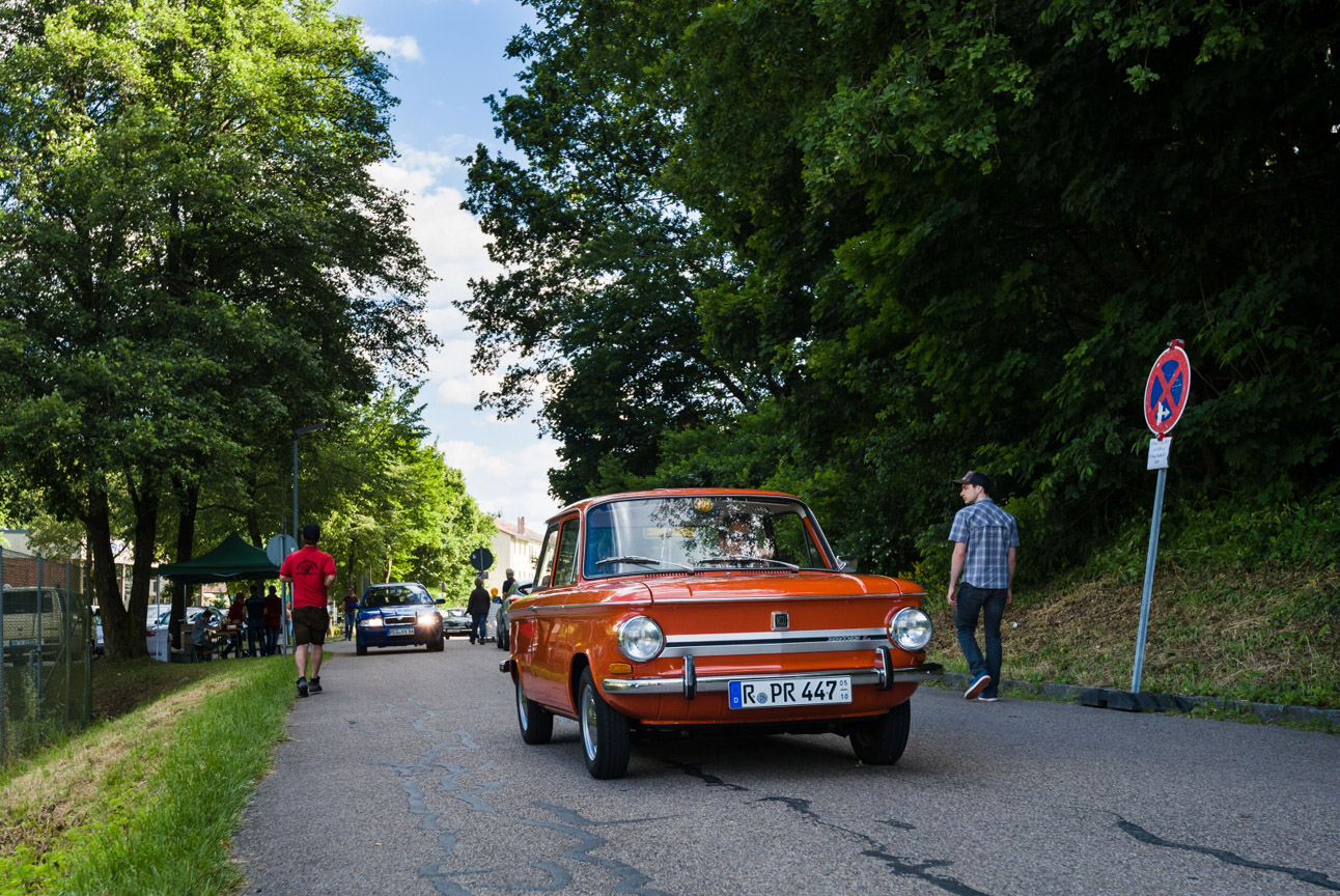 Kaefer_Bayerwald_0090
