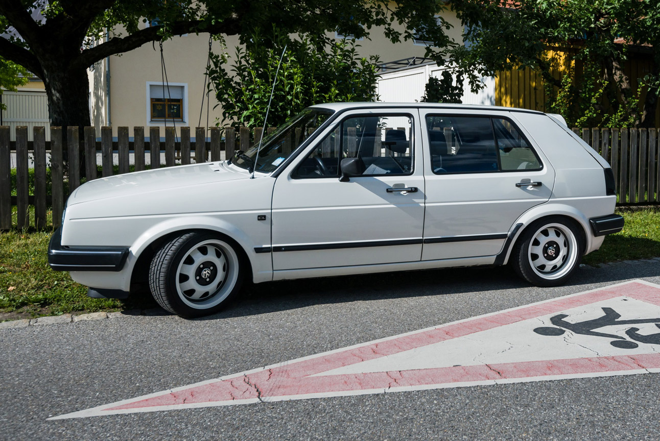 Kaefer_Bayerwald_0091