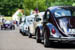 Kaefer_Bayerwald_0007
