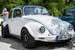 Kaefer_Bayerwald_0011