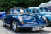 Kaefer_Bayerwald_0012