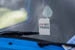 Kaefer_Bayerwald_0015