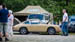 Kaefer_Bayerwald_0019