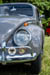 Kaefer_Bayerwald_0025