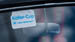 Kaefer_Bayerwald_0027