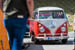Kaefer_Bayerwald_0030