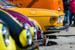 Kaefer_Bayerwald_0031