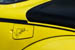 Kaefer_Bayerwald_0032