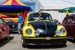 Kaefer_Bayerwald_0033