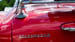 Kaefer_Bayerwald_0036