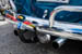 Kaefer_Bayerwald_0041
