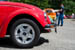 Kaefer_Bayerwald_0042