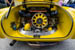 Kaefer_Bayerwald_0047
