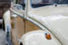 Kaefer_Bayerwald_0061