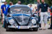 Kaefer_Bayerwald_0064