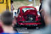 Kaefer_Bayerwald_0065