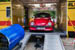 Kaefer_Bayerwald_0068