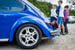 Kaefer_Bayerwald_0069