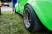 Kaefer_Bayerwald_0071