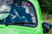 Kaefer_Bayerwald_0072