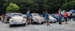Kaefer_Bayerwald_0077