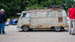 Kaefer_Bayerwald_0078