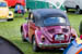 Kaefer_Bayerwald_0083