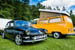 Kaefer_Bayerwald_0085