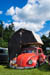Kaefer_Bayerwald_0087