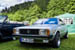 Kaefer_Bayerwald_0088