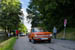 Kaefer_Bayerwald_0090