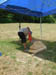 DSCN2736