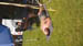 20190621_170156